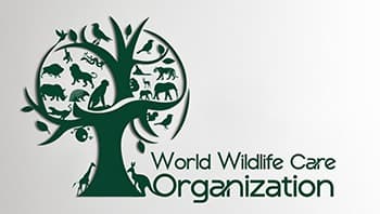 NGO Client